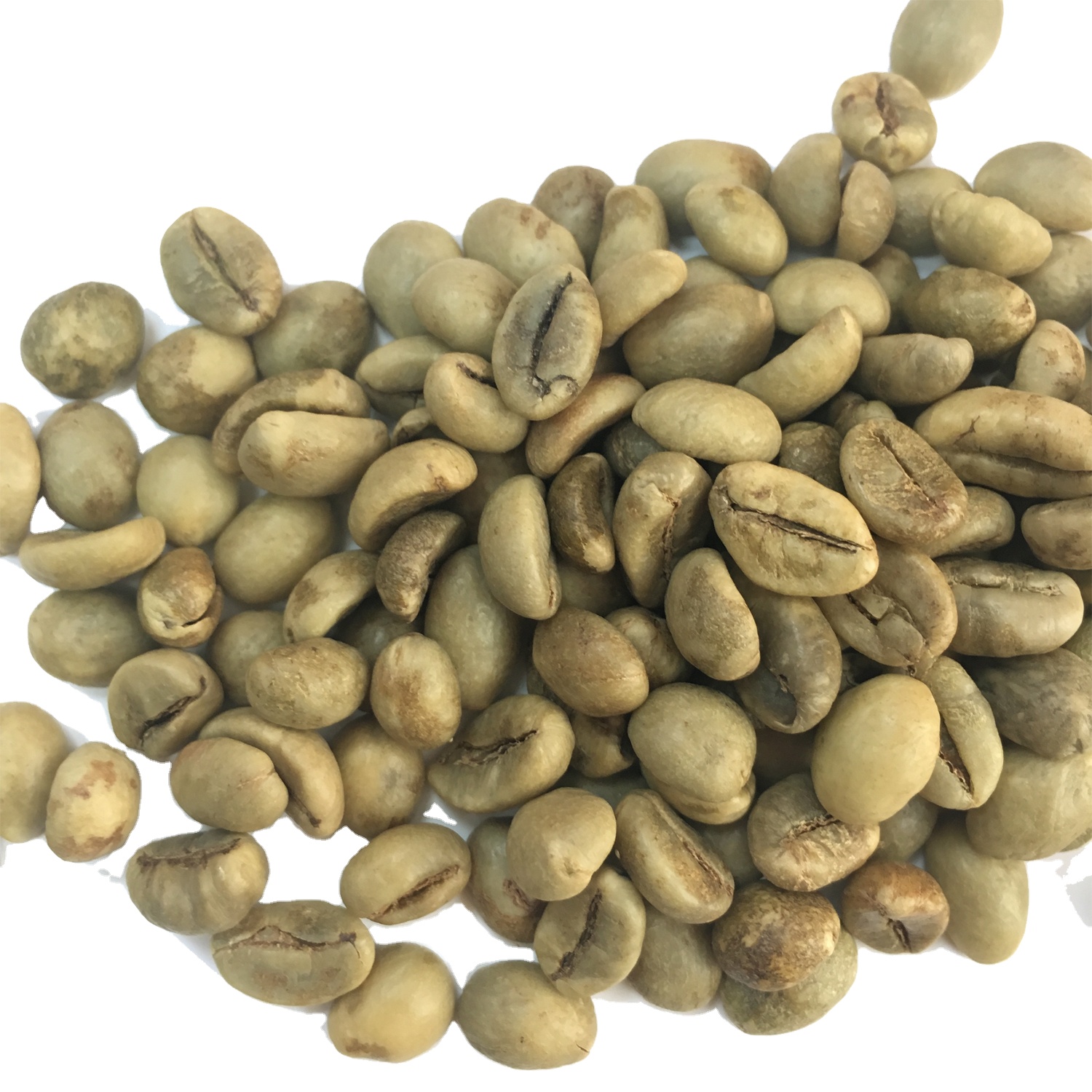 Robusta кофе в зернах зеленый для экспорта, экран 13, 14,16, 18, новый урожай