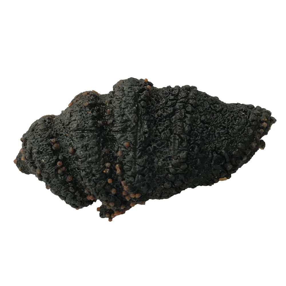 High Quality White Teat Fish Dried Russian Sea Cucumber