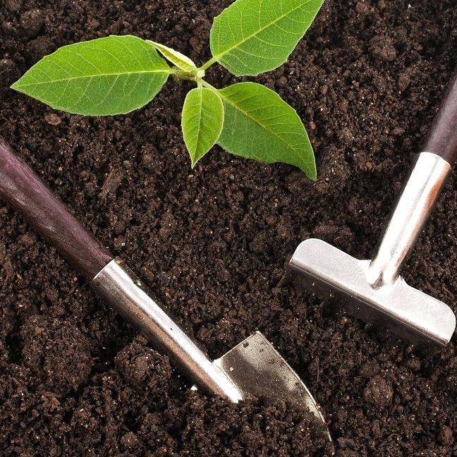 PLANTING MIX COMPOST FERTILIZER PEAT COCO COIR PITH SUBSTRATE FIRST QUALITY GREENHOUSE GARDEN LANDSCAPE POTTING SOIL VEGETABLE