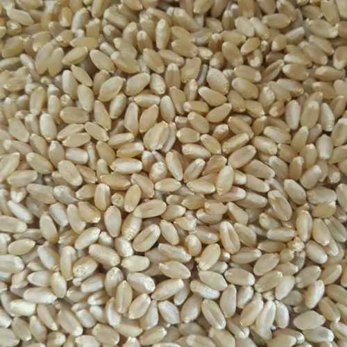 HARD WHEAT FOR EXPORT PRICE FOR Canada