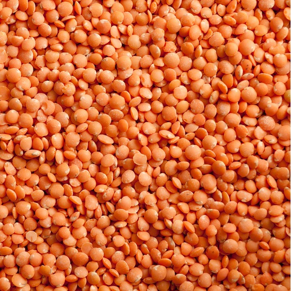 Canadian red lentils