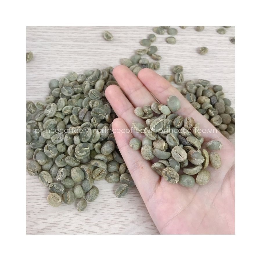 BEST SELLING Green Coffee Beans HIGH GRADE 18 scr Green Coffee Beans Raw Coffee Made In Vietnam