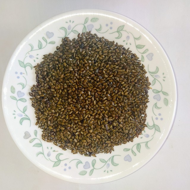 Hot Selling 20:1 Semen Cassiae Catsia tora L Seed Extract Powder