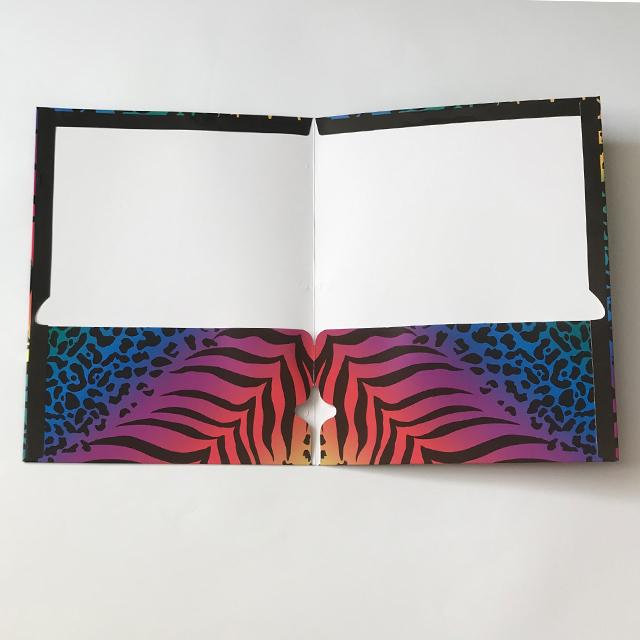 Paper Document Folder