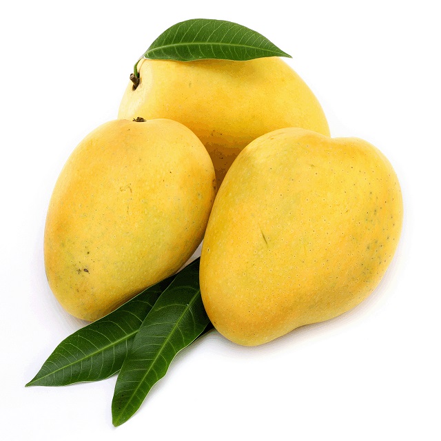 Высококачественные свежие манго Alphonso для экспорта