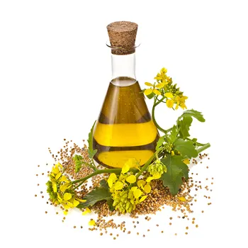 Rapeseed oil Certified Organic 100 % Pure Refined Rapeseed Oil  Canola Oil 