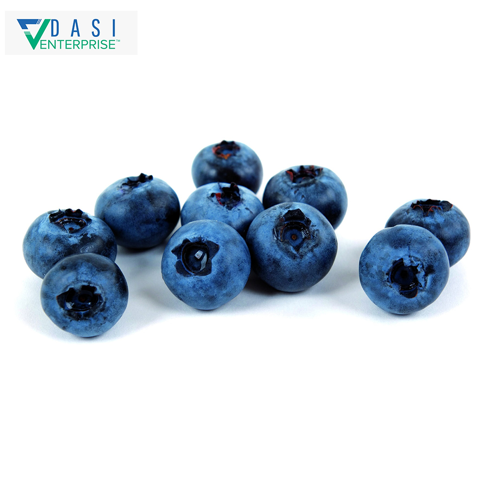 Original Manufactured Best Price Healthy Fresh Small Sized Blueberries Available At Low Market Price