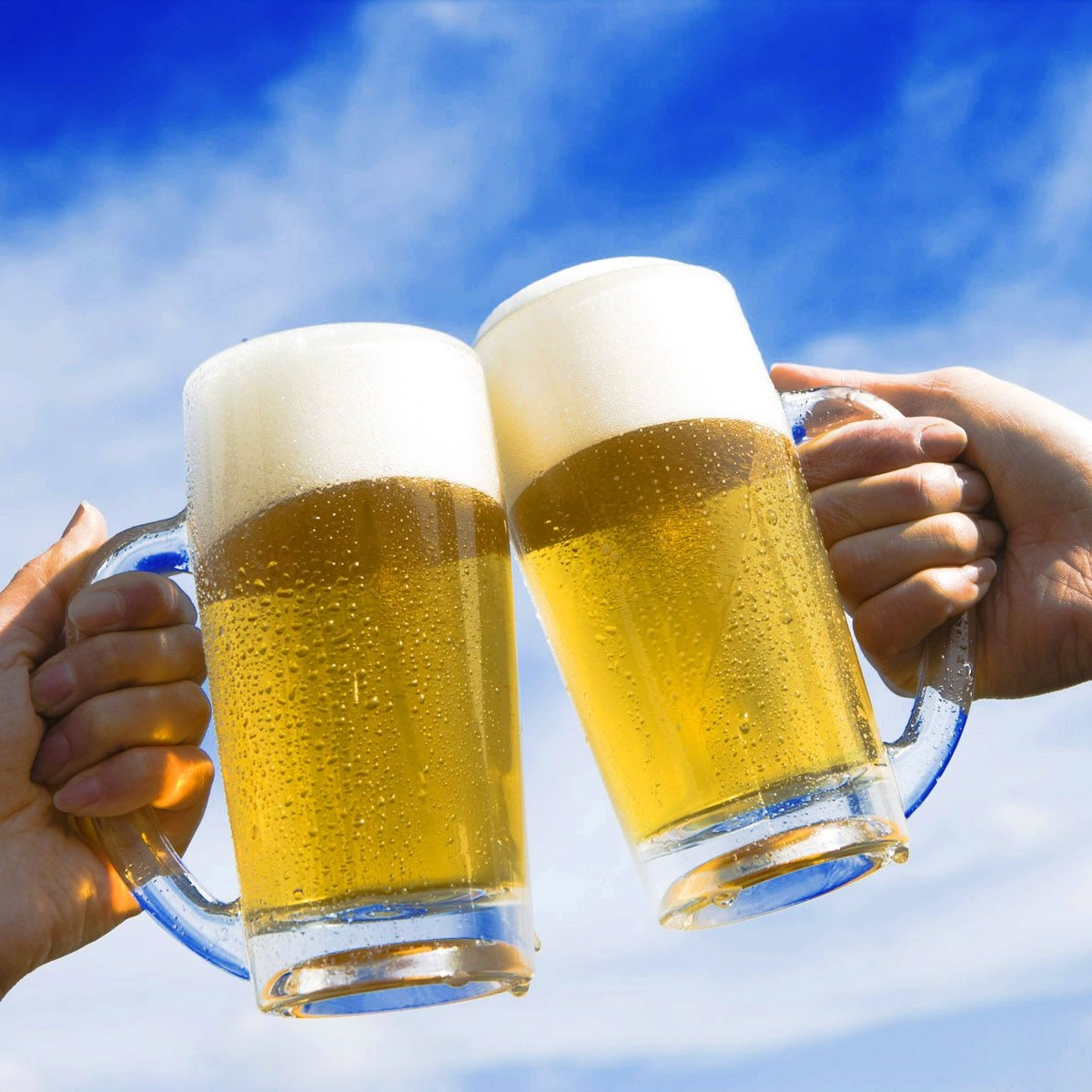 Japanese popular brand non-alcoholic beer , can types also available