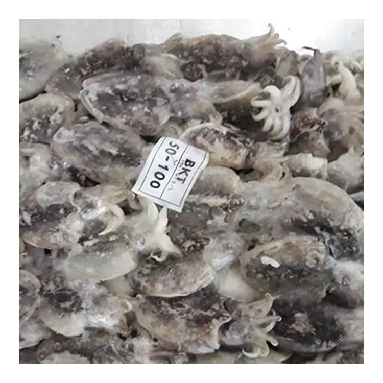 Best Seller Export Nutritious Frozen Frozen Cuttlefish