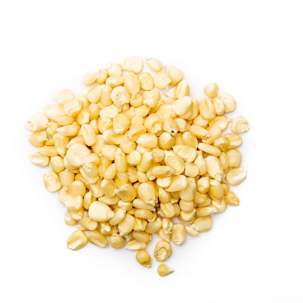 Edible Non Gmo Maize White Corn Kernels