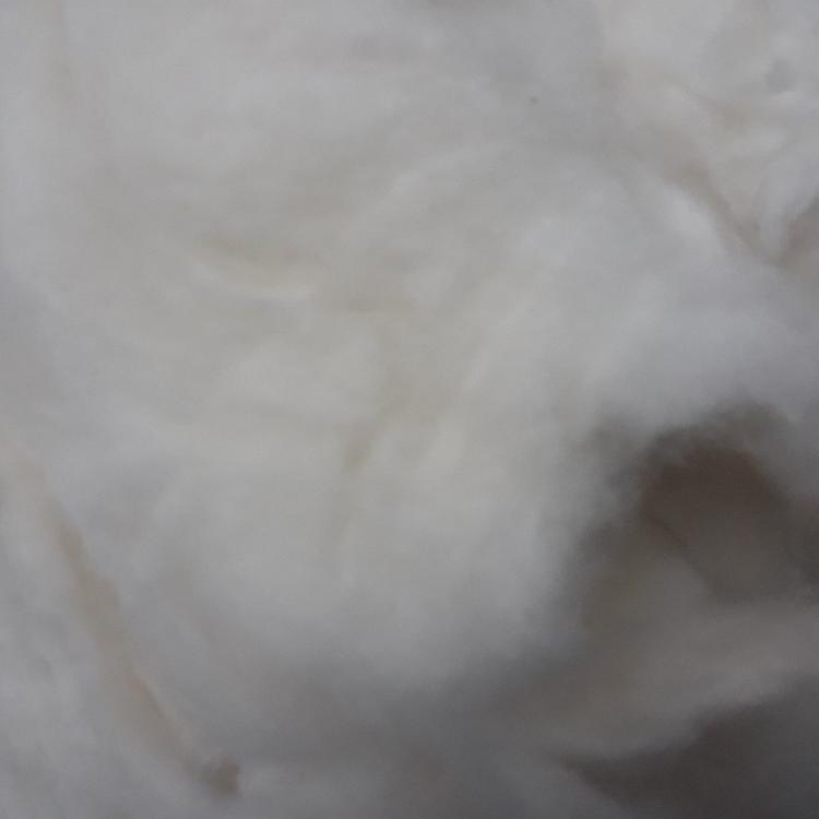 100% COTTON COMBER NOIL FOR SPINNING MILLS - Ms Angela