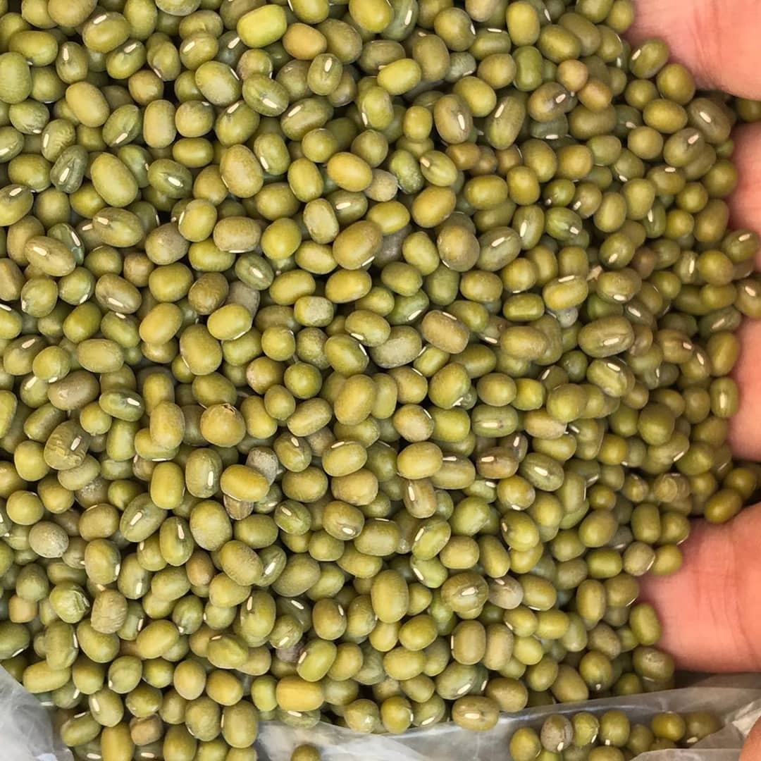 Зеленый мунг в продаже. Закажите сейчас