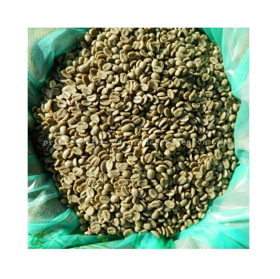 Coffee Beans NEW CROP Arabica Robusta Green Coffee Beans Vietnam 18 scr Raw Coffee Bean