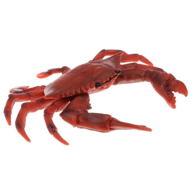 Live Mud Crab/Live Seafood/Green Mud Crab! Wholesale