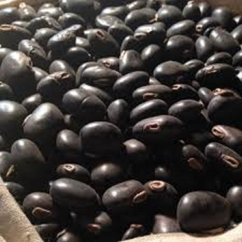 Мукуна жгучая семян и экстракт бархатной отделкой, 98% I-DOPA порошок