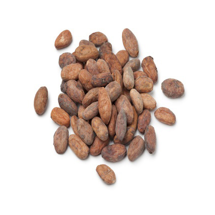 Cocoa Beans / Raw Coco Beans / Dried Cocoa Beans