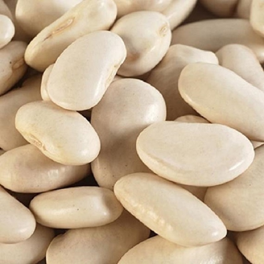 Quality White Butter Beans At Low Cost Bulk Price