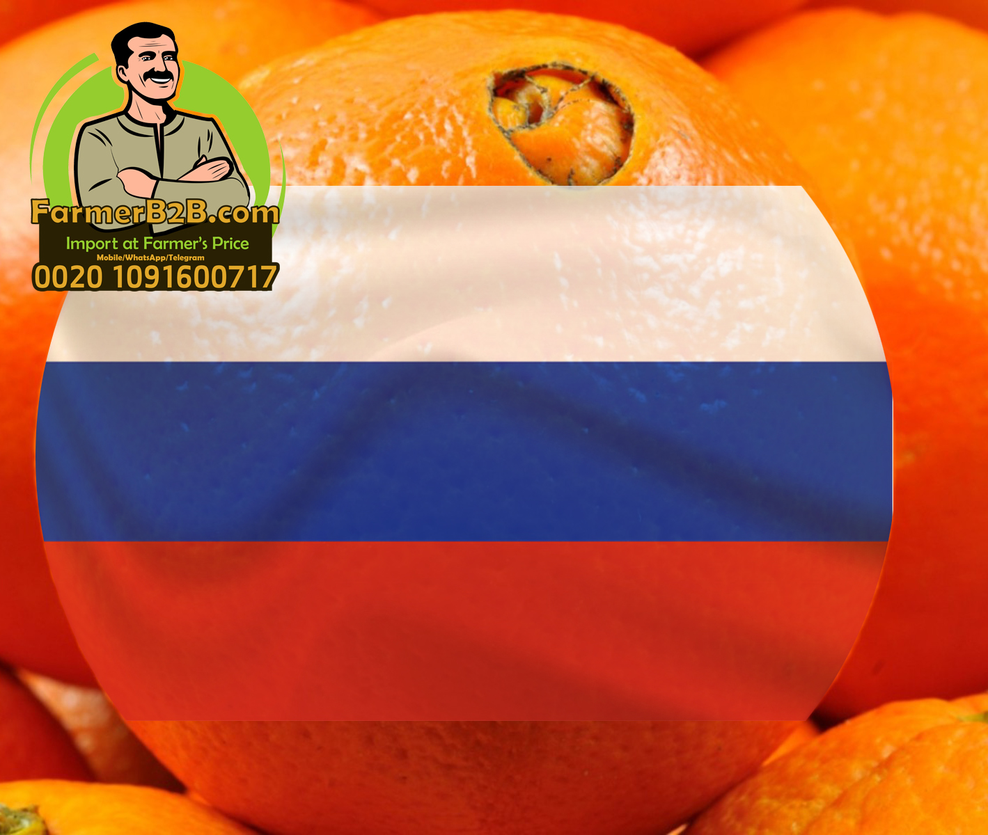 Особая скидка для российских 2021/2022 Египетский свежий оранжевый пупок теперь доступен для бронирования (Высшее качество)