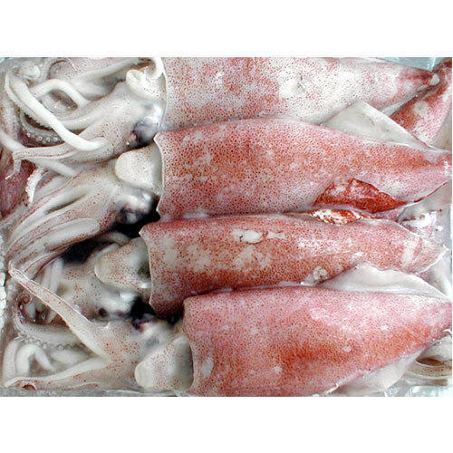 Качественный замороженный гигантский кальмар на продажу, оптовая продажа