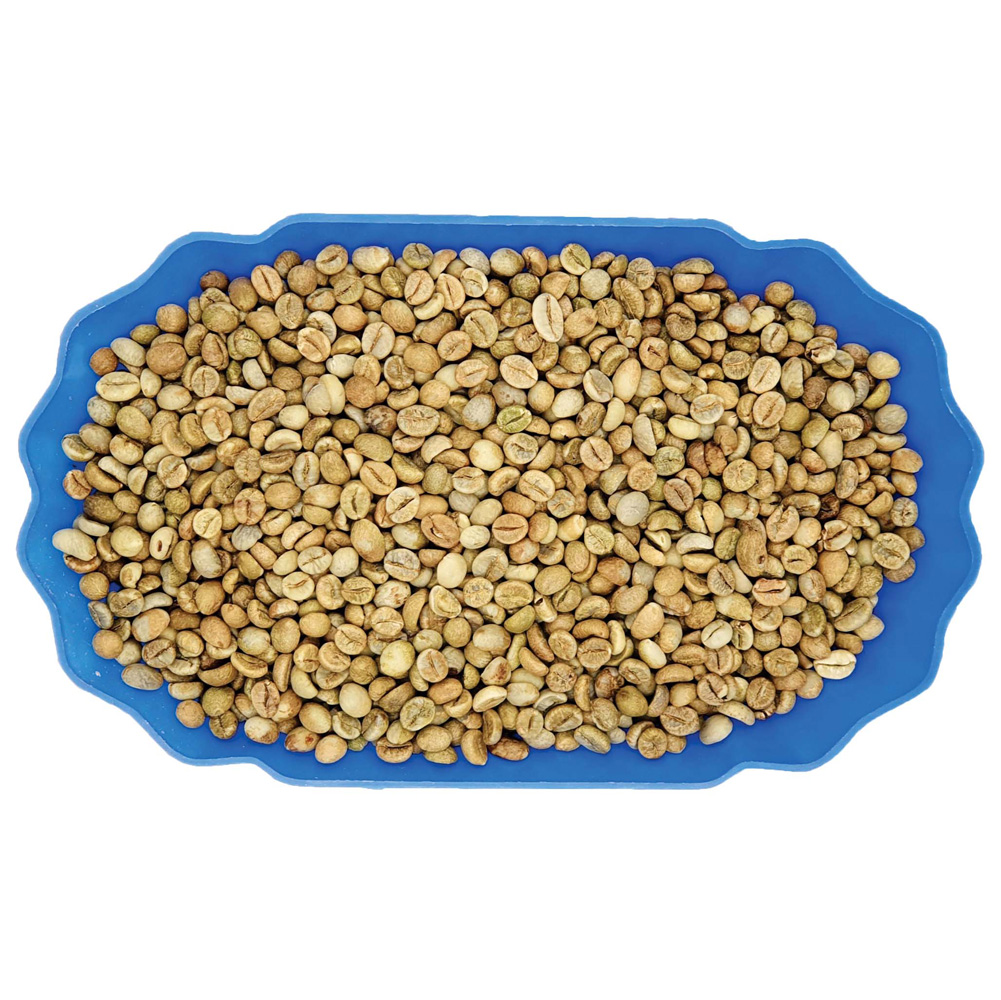 Robusta S18 Premium Honey Green Coffee Beans Specialty Robusta Simexco DakLak for making great cup