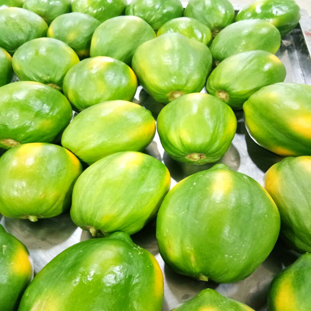 Best Quality &Fresh Fruit Papaya Famous In China
