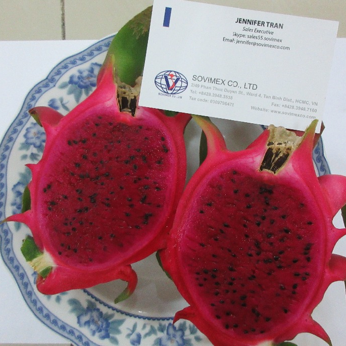 GRADE 1 DRAGON FRUIT FROM VIETNAM