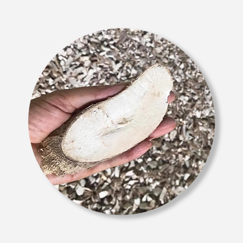 Best Seller Dried Cassava Chips For Food Industry or Making Animal Feed and Ethanol