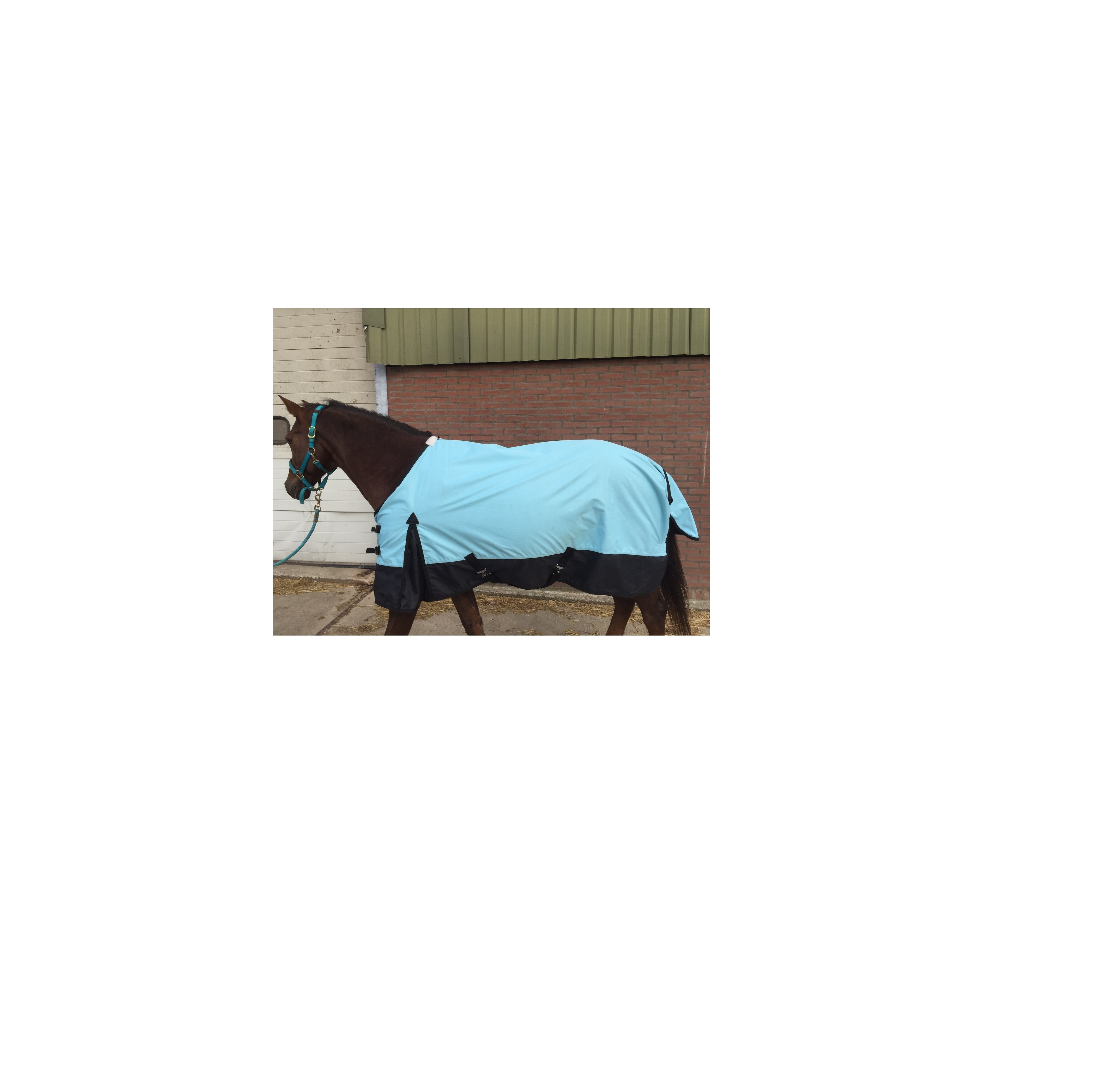 WINTER HORSE RUG.