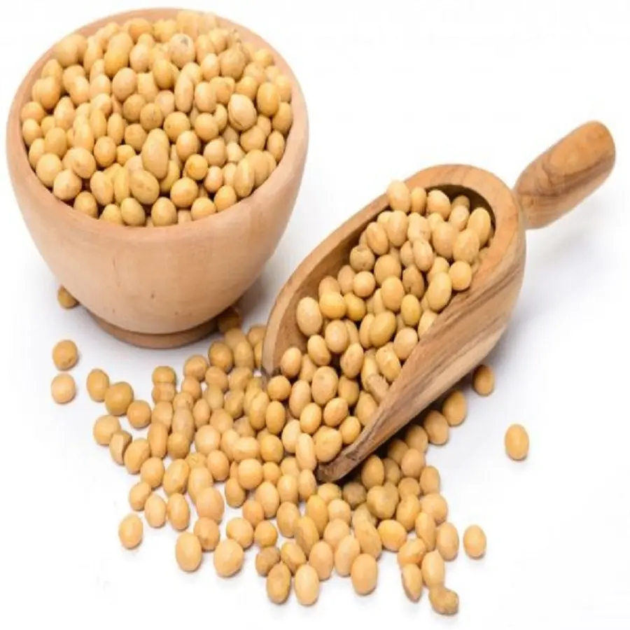 High Quality Benin NON GMO Soybean Seed