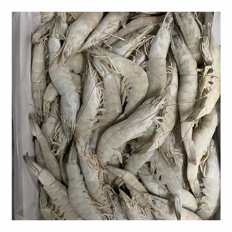 Поставщик морепродуктов, свежие белые креветки или креветки-сырые