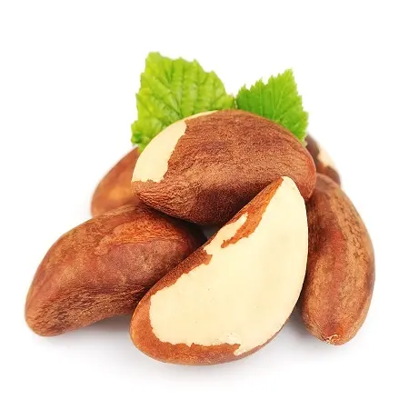 Food 100% natural Dried raw shelled Brazil nut for eating