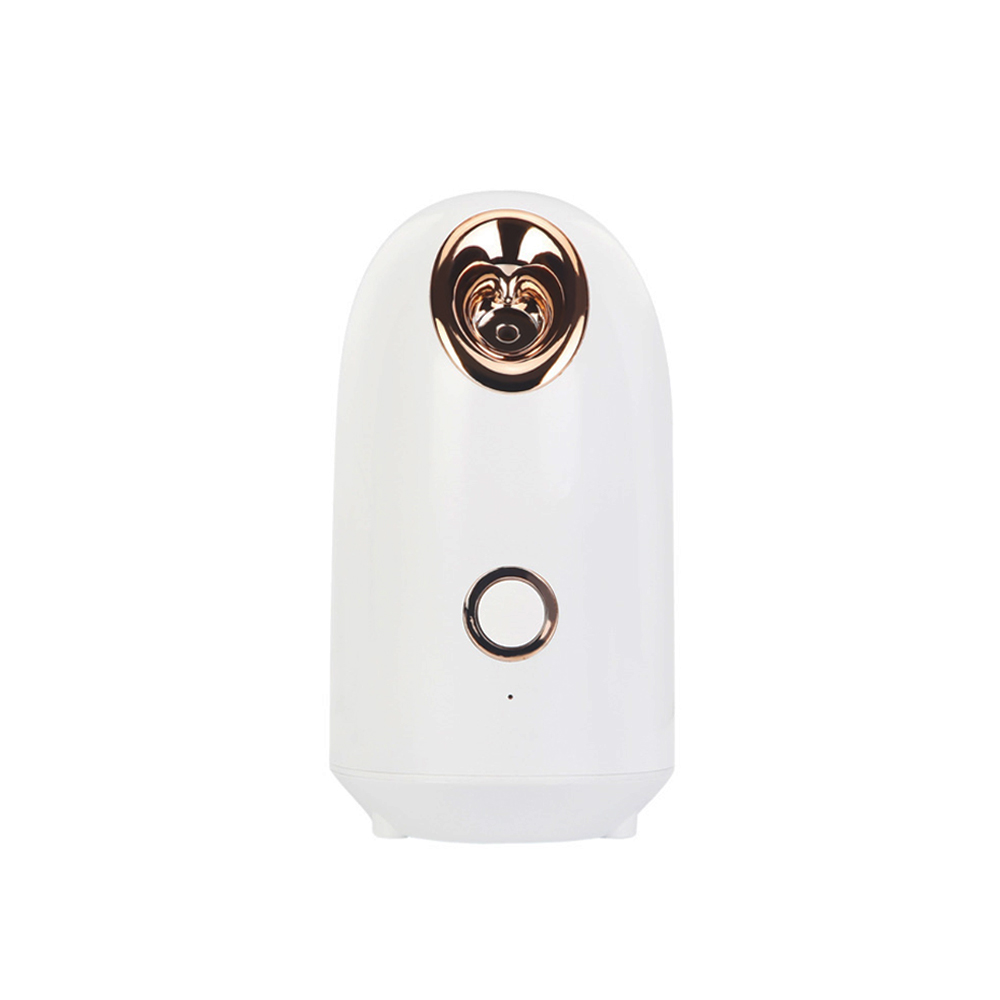 Electric Beauty Spa Portable Professional Nano Mister Mini Ionic Hair Cold Face Facial Steamer