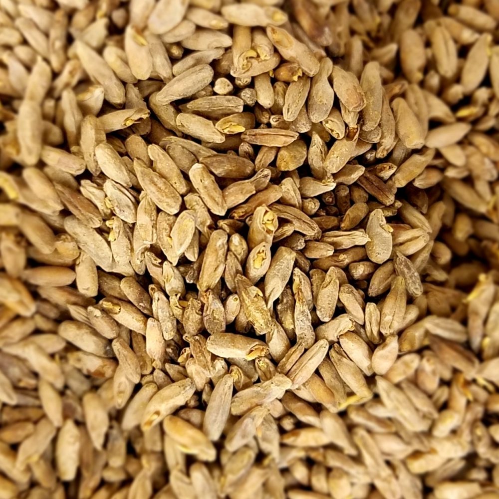 Корм для животных rye для продажи в Великобритании