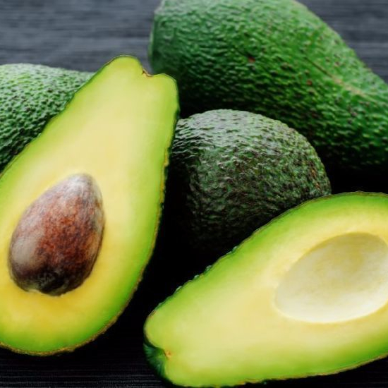 FRESH AVOCADO with High QUALITY and BEST Price