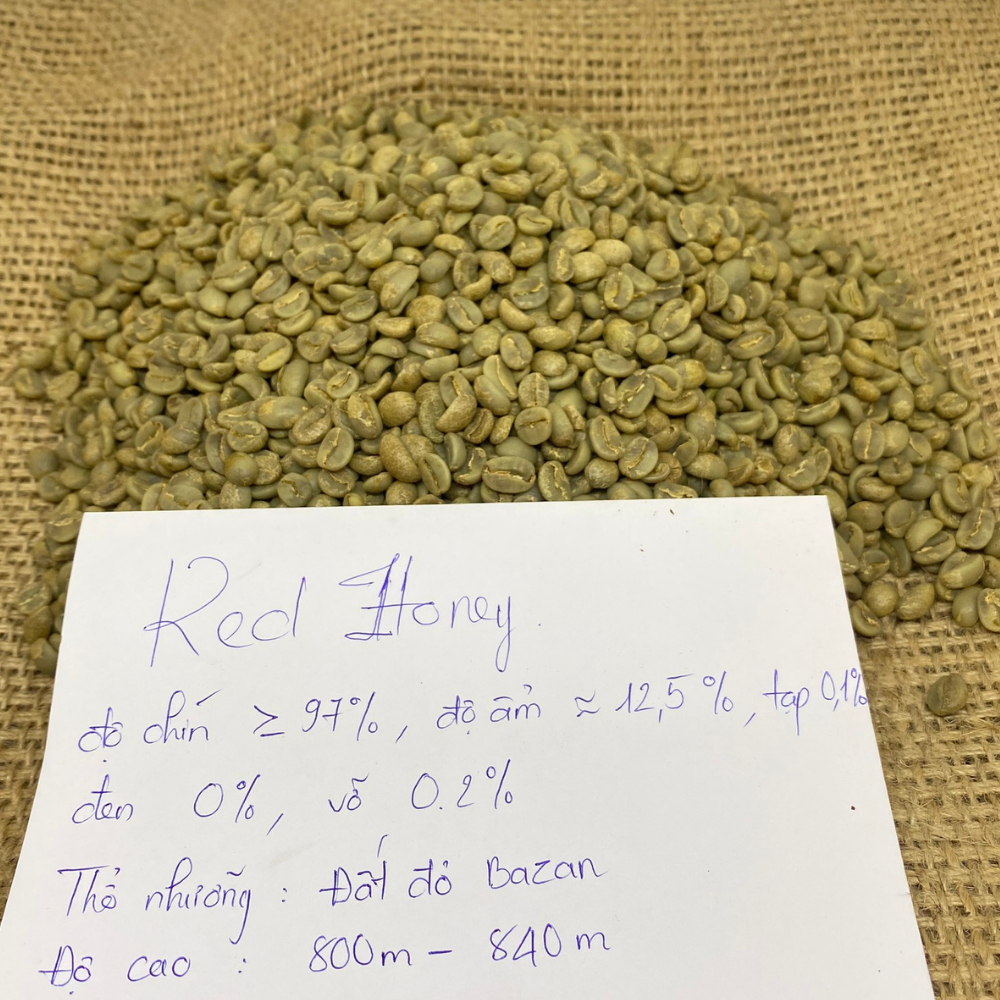 Vietnamese Raw Fine Robusta Green Coffee Beans Screen 16 Red Honey Processing Single Origin Export Quality