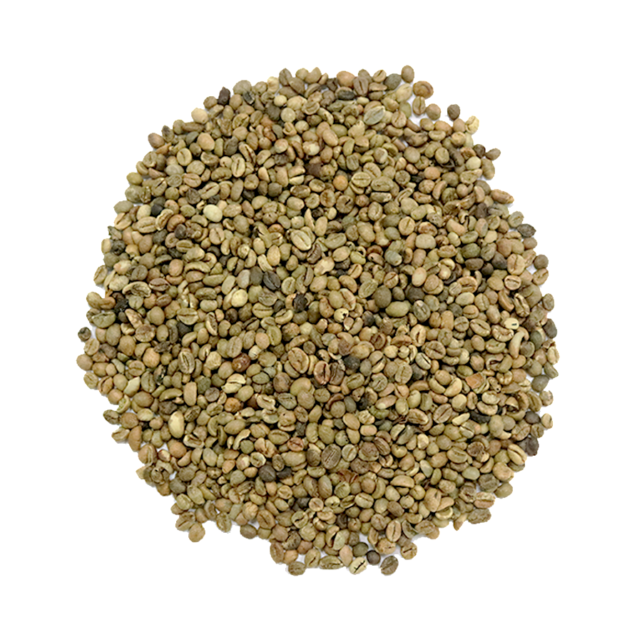 Robusta зеленый кофе в зернах экран 13 класс 2 Лучшая цена кофе в зернах мешок малый заказ принимается