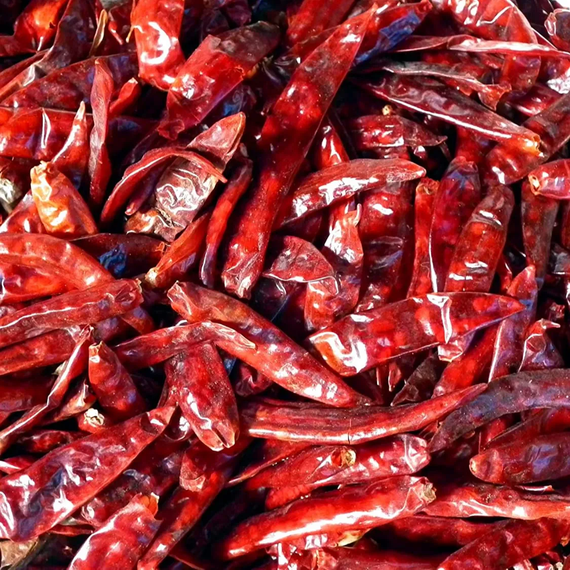 100% Organic Dry Pepper Chili From Vietnam Agri Dry Chili Red Dried with Best Quality and Price