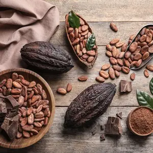 Oganic certified fine cacao / cocoa beans