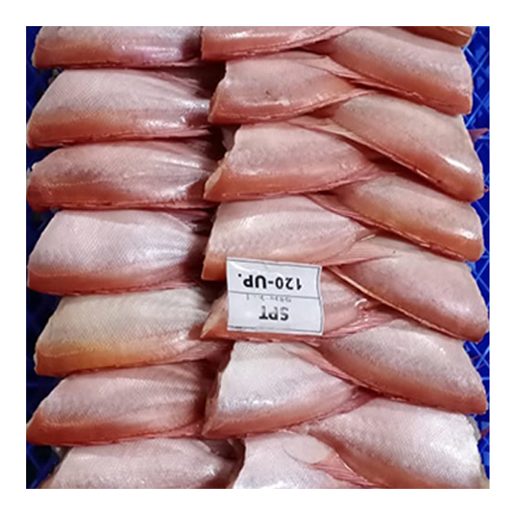 Свежий замороженный красный биглаз, рыба, экспорт морепродуктов