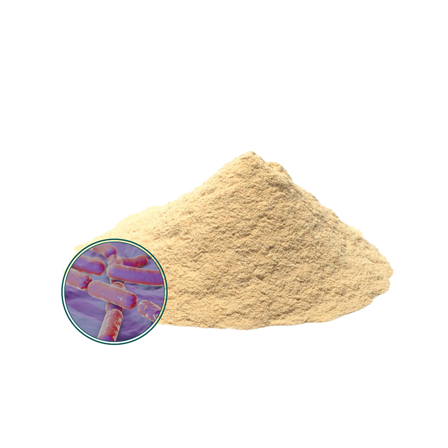 Пробиотики оптом, поставщик пробиотиков Bacillus Clausii из Индии-Zealmax Biopharma