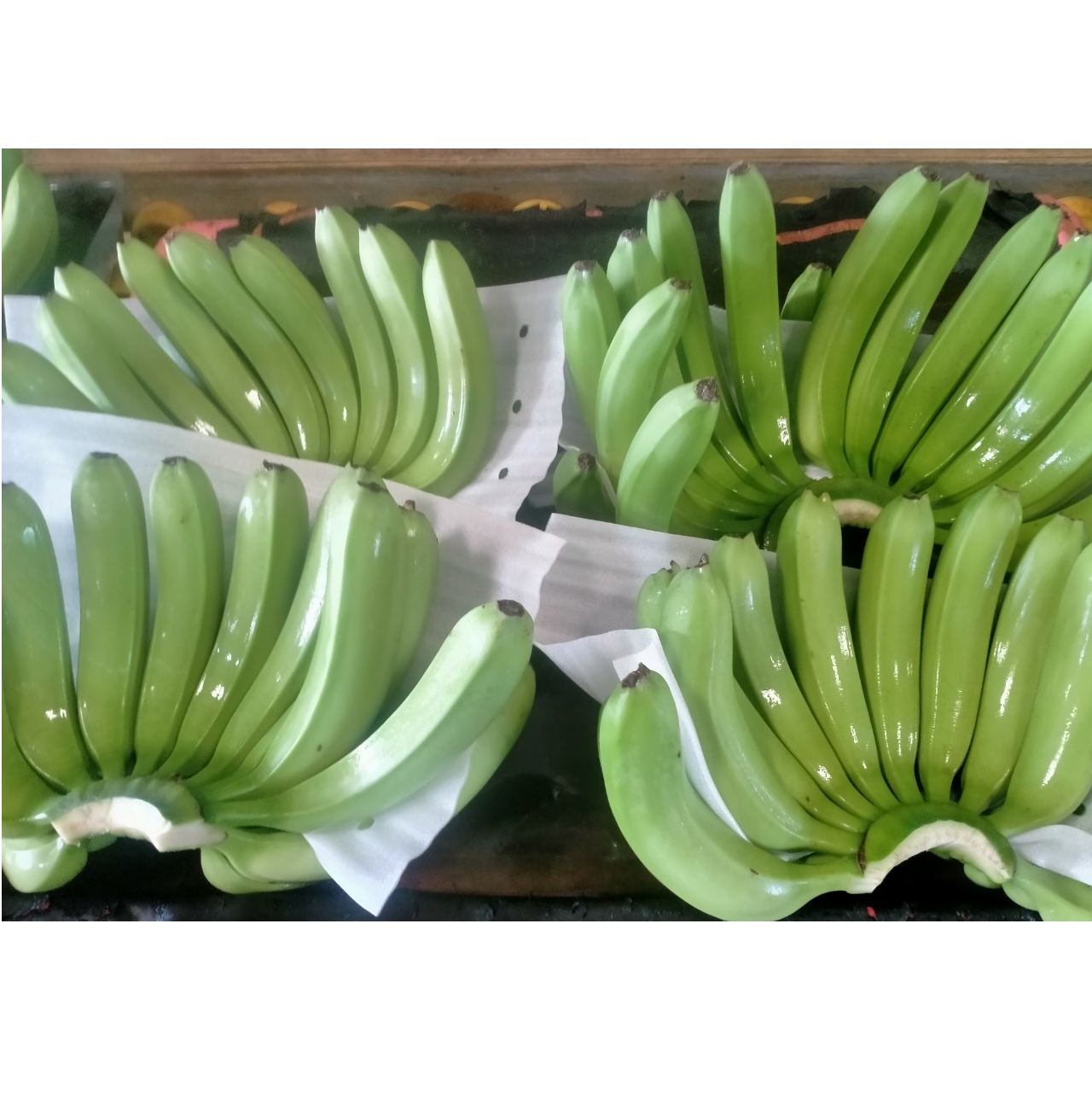 Хит продаж 2021, Cavendish Banana - 100% органический свежий банан из Вьетнама, экспорт фруктов, оптовая продажа, новейший урожай, натуральный сладкий вкус