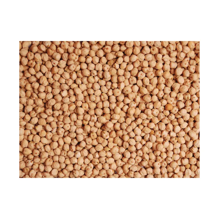 Best quality chickpeas in bulk, food products