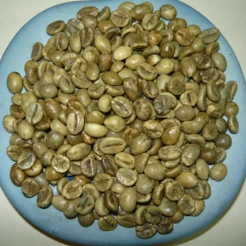 Robusta green coffee beans for sale WHATSAPP 0084934301118