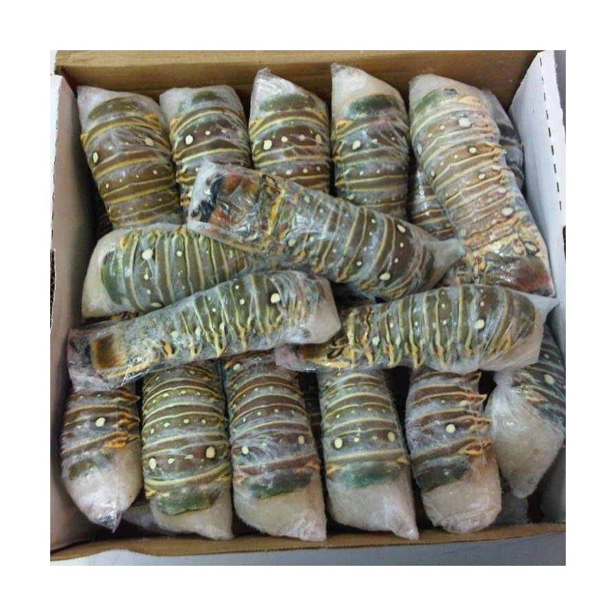 Live Lobster / Lobster Tails In Bulk Premium Quality