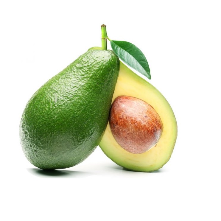 Best Quality Export Hot Selling Natural Avocado Grain Seller From India