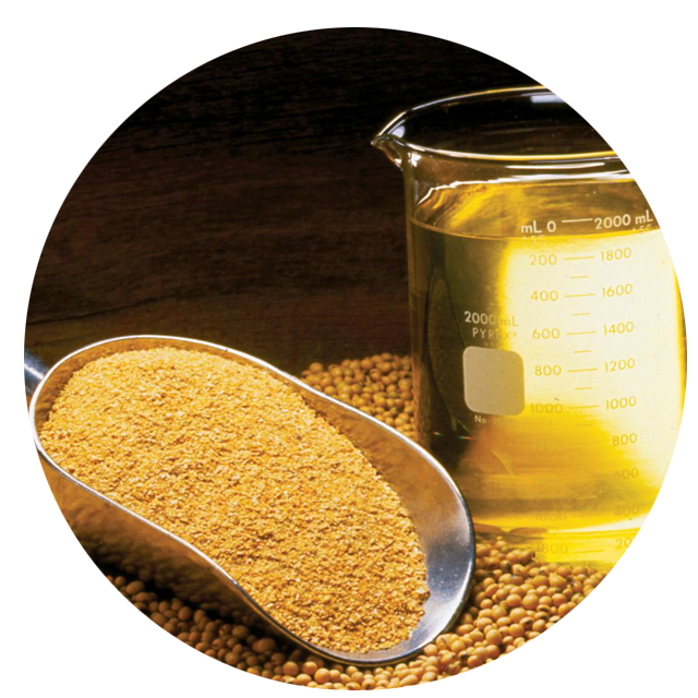 Soybean Meal, 42% - 48% Protein Excellent quality Animal Bulk Soybean Meal
