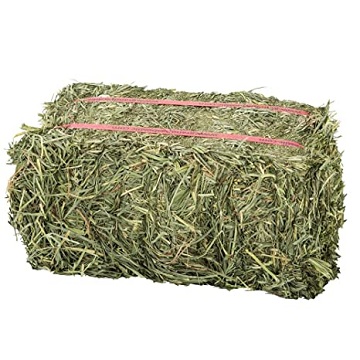 Тюки для сена Alfalfa, тюки для сена Alfalfa, корм для лошадей и крупного рогатого скота