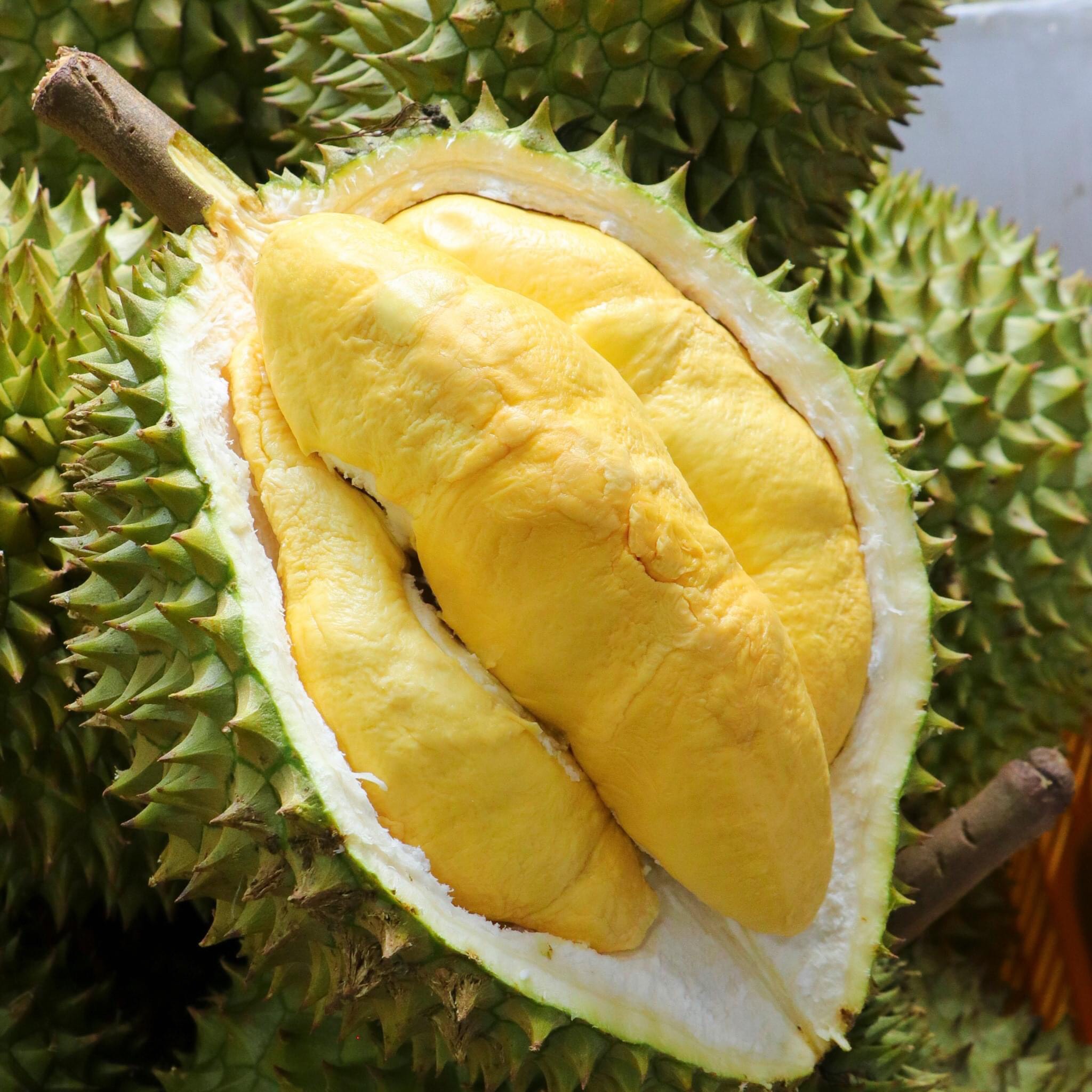 Best Sweet Fresh Durian High Quality With Low Price Organic 100% Natural Wholesale Export From Vietnam