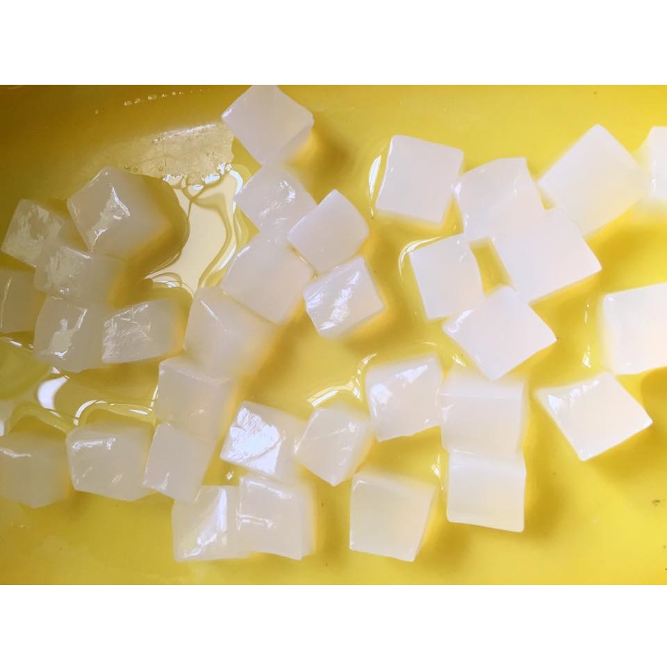 Vietnam COCONUT JELLY / NATA DE COCO IN WHITE SYRUP / HELEN +84374288086