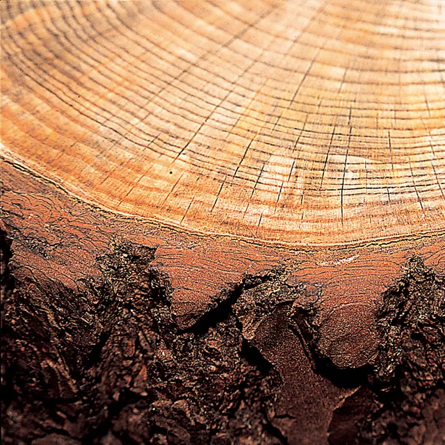 pine bark plant extract Flavangenol R 